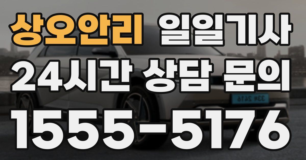 일일대리기사