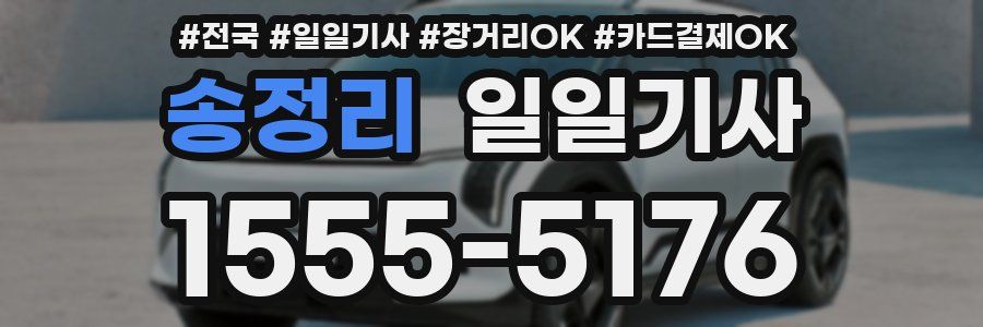 송정리 일일기사