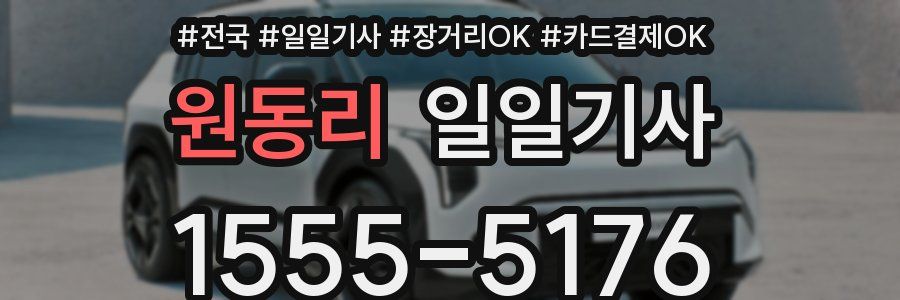 원동리 일일기사