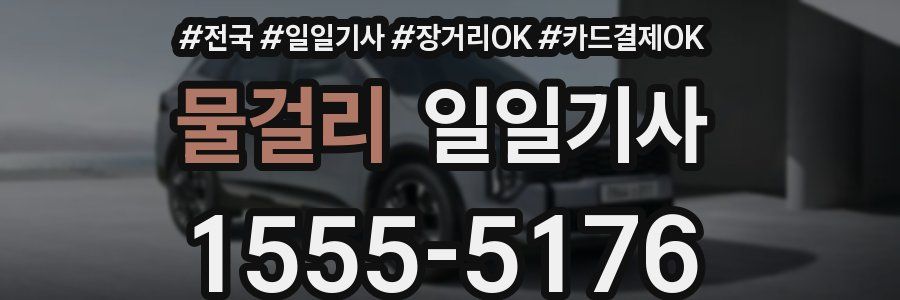 물걸리 일일기사