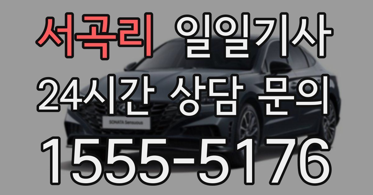 일일대리기사