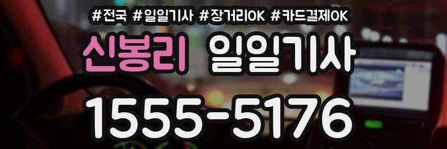 신봉리 일일기사