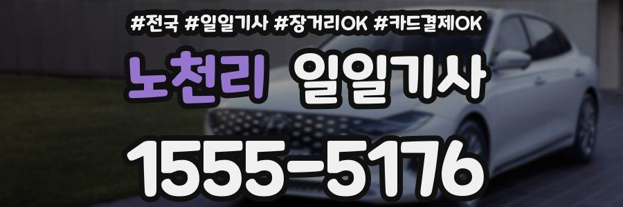 노천리 일일기사