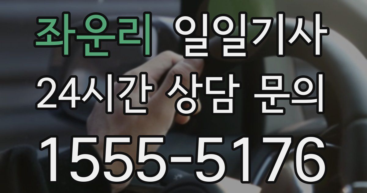 일일대리기사