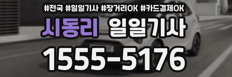 시동리 일일기사