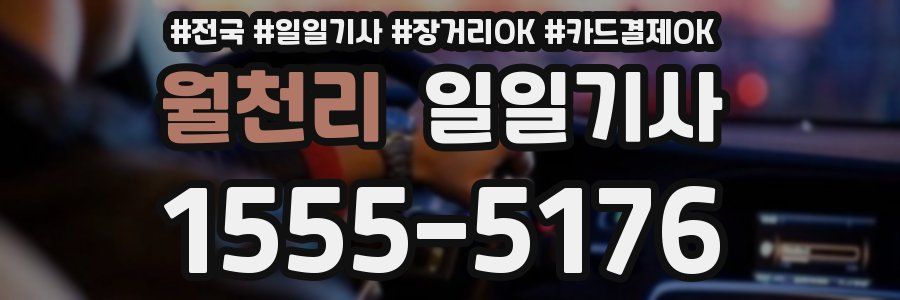 월천리 일일기사