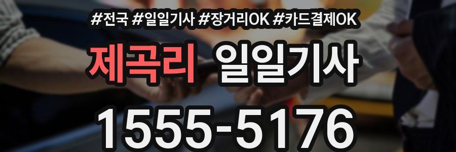 제곡리 일일기사