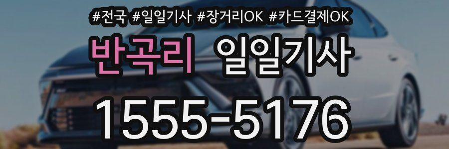 반곡리 일일기사