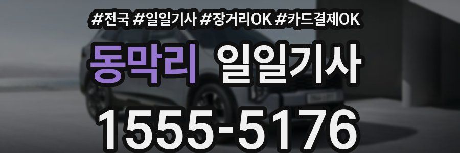 동막리 일일기사