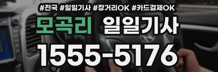 모곡리 일일기사