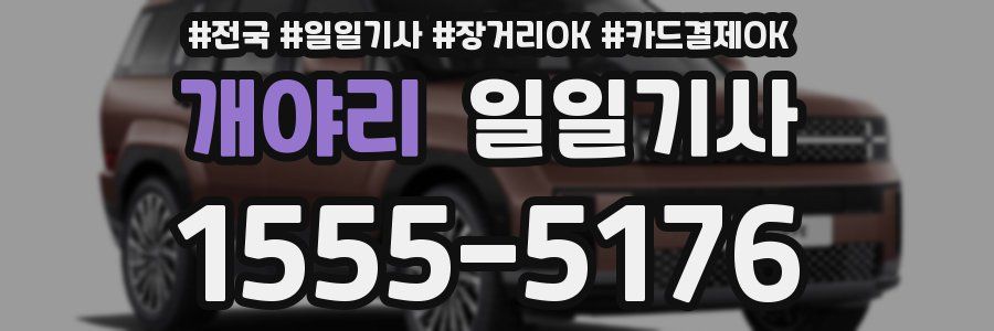 개야리 일일기사