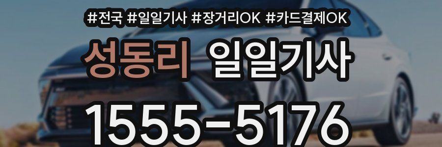 성동리 일일기사