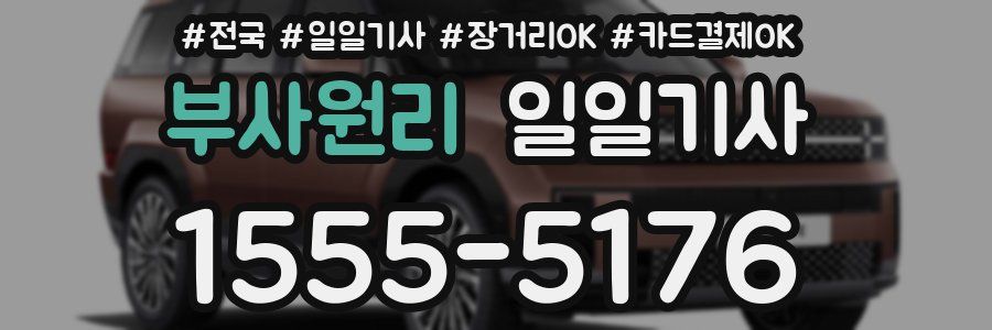 부사원리 일일기사