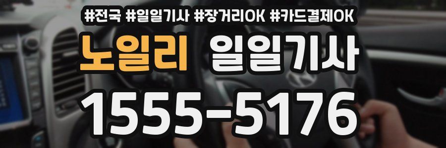 노일리 일일기사