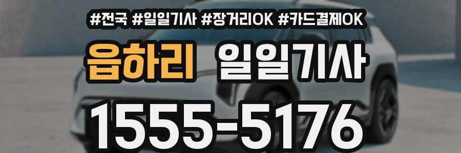 읍하리 일일기사