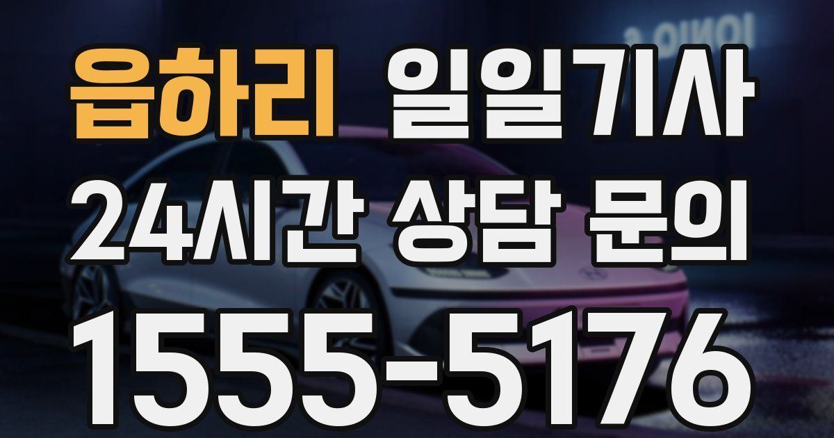 일일대리기사