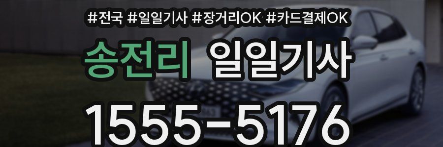 송전리 일일기사