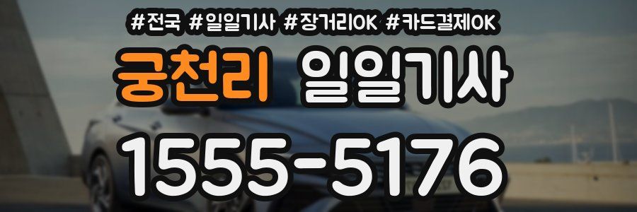 궁천리 일일기사