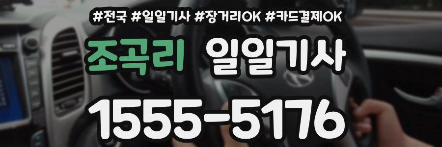 조곡리 일일기사