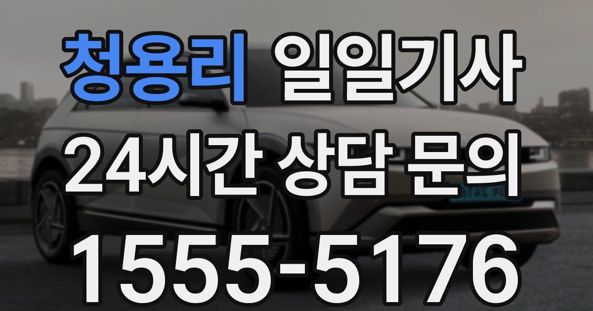 일일대리기사
