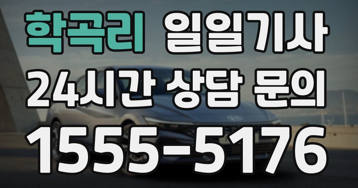 일일대리기사