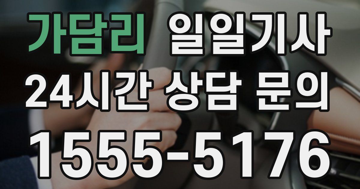 일일대리기사