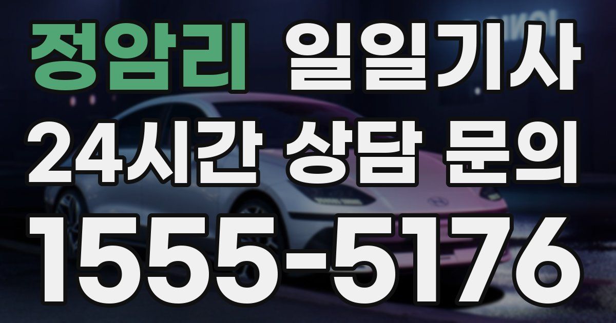 일일대리기사