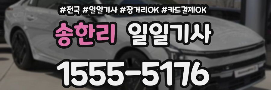 송한리 일일기사