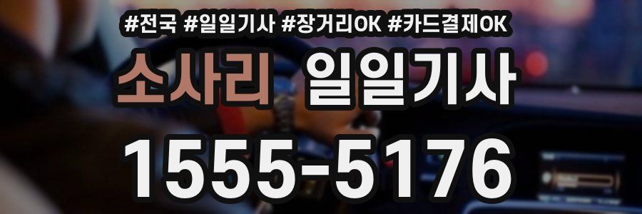 소사리 일일기사