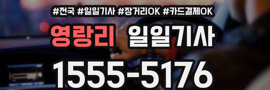 영랑리 일일기사