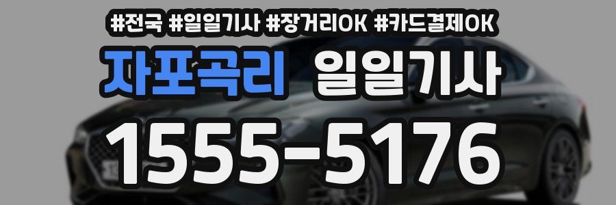 자포곡리 일일기사