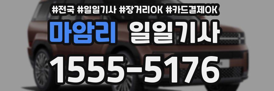 마암리 일일기사