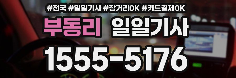 부동리 일일기사