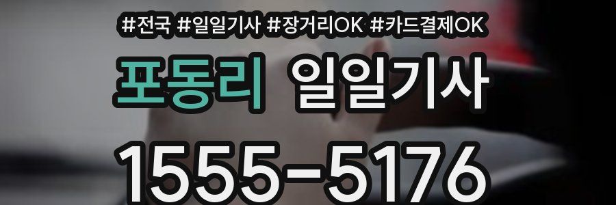 포동리 일일기사