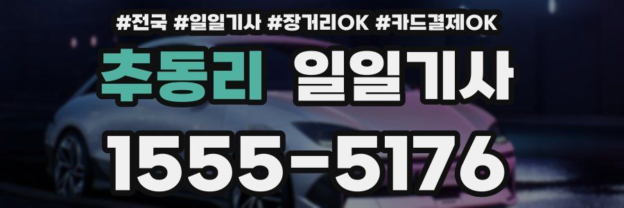 추동리 일일기사