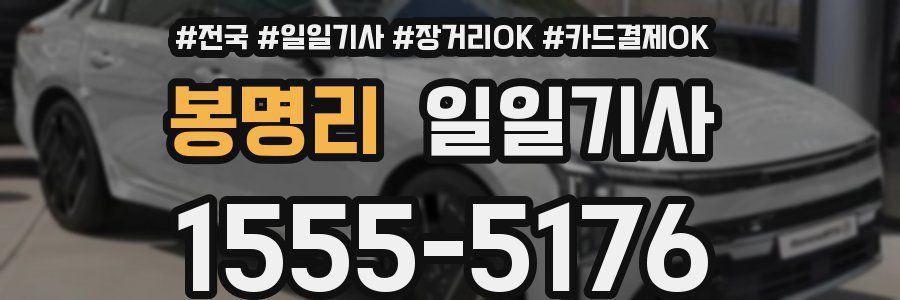 봉명리 일일기사