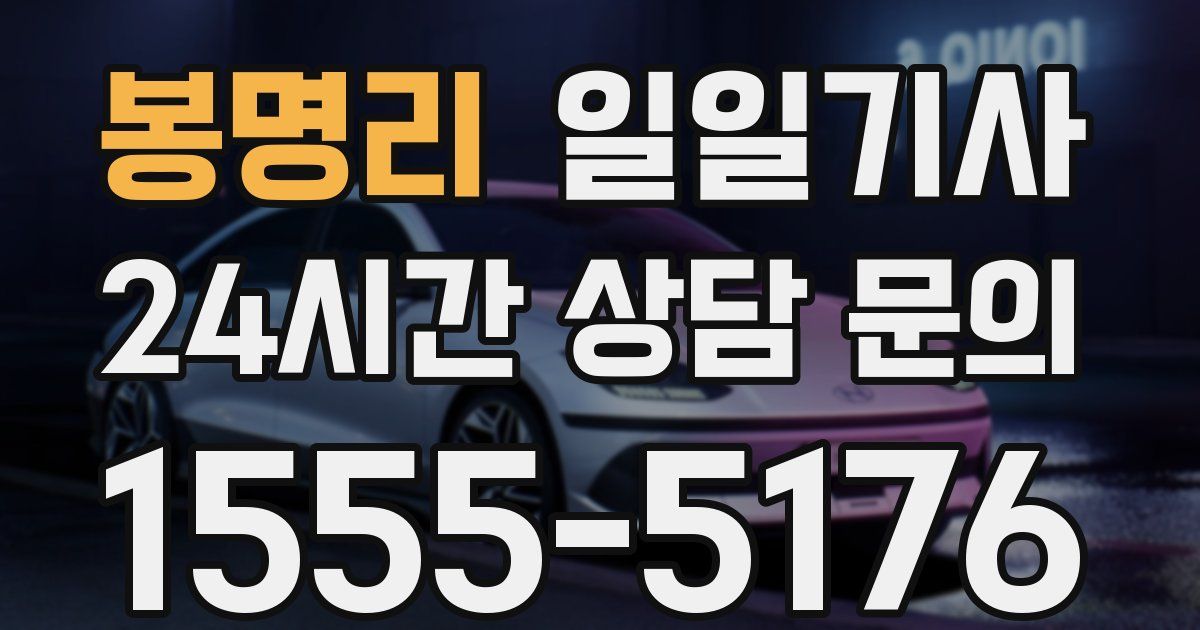 일일대리기사