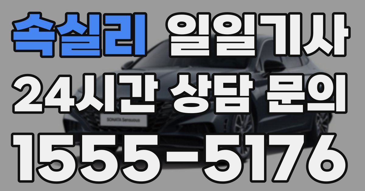 일일대리기사