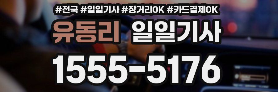 유동리 일일기사