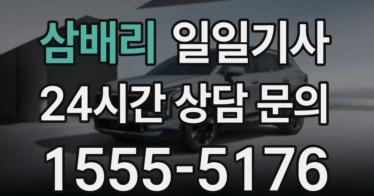 일일대리기사