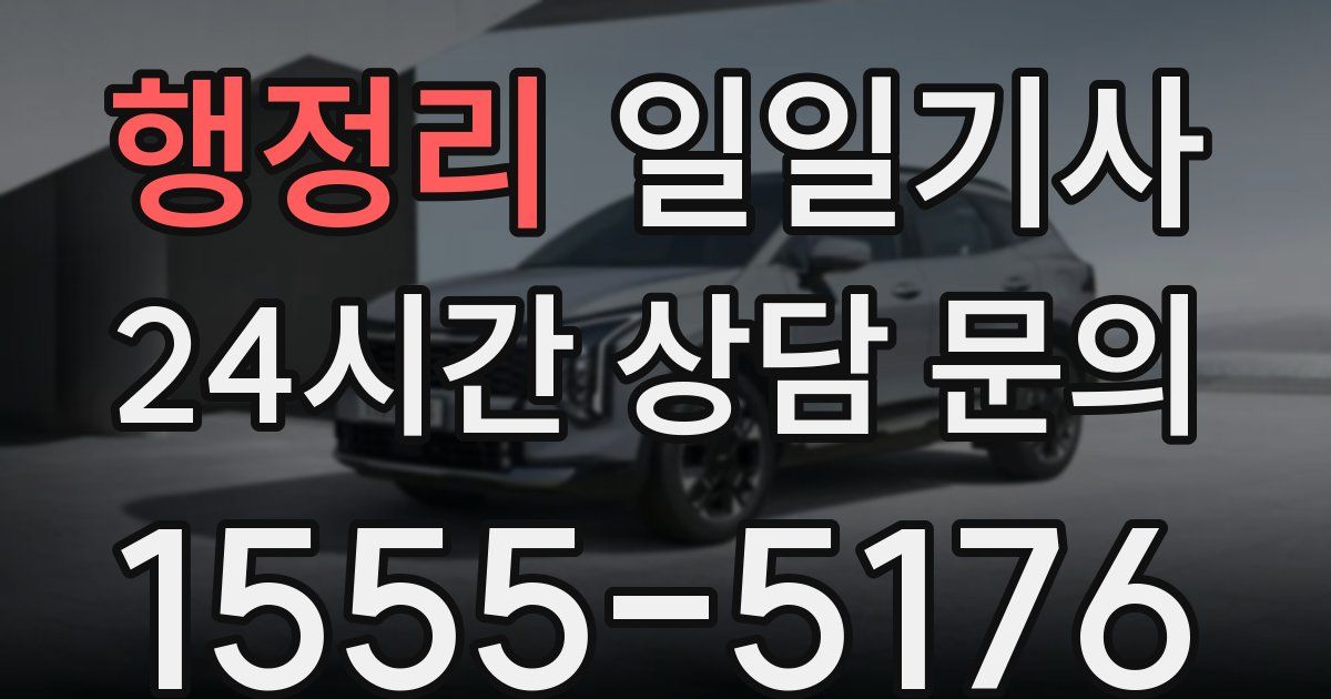 일일대리기사