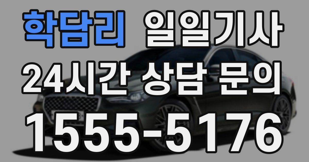 일일대리기사