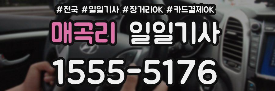 매곡리 일일기사