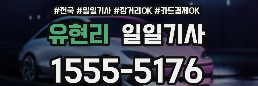 유현리 일일기사