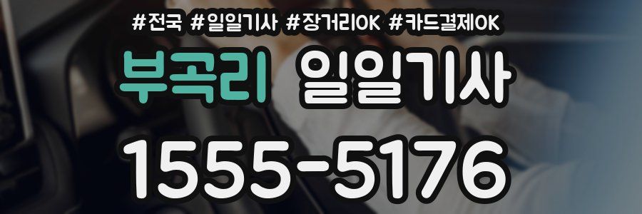 부곡리 일일기사