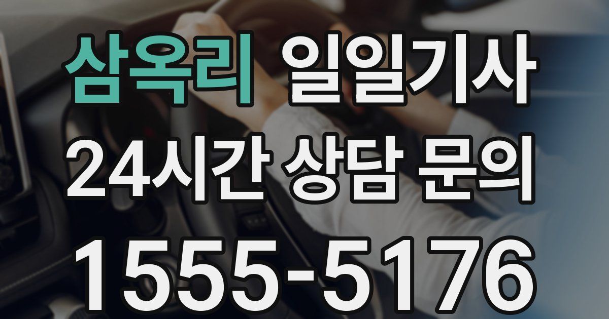일일대리기사