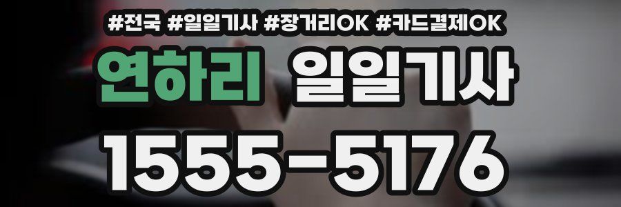 연하리 일일기사