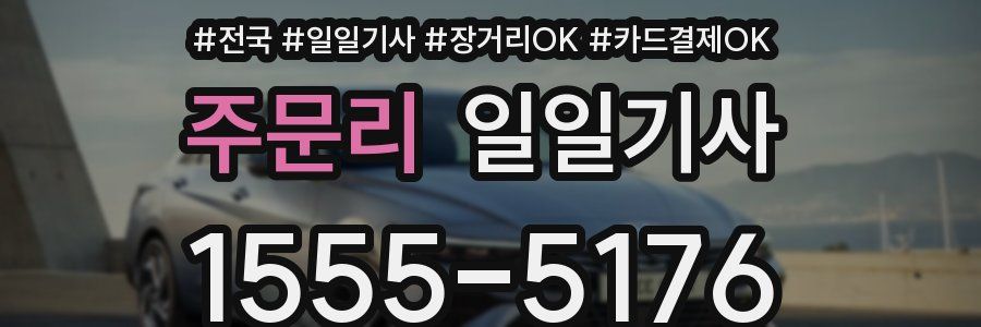 주문리 일일기사