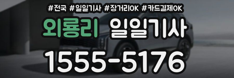 외룡리 일일기사