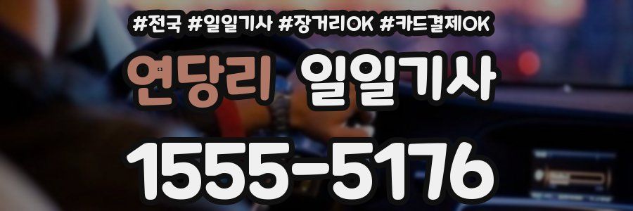 연당리 일일기사